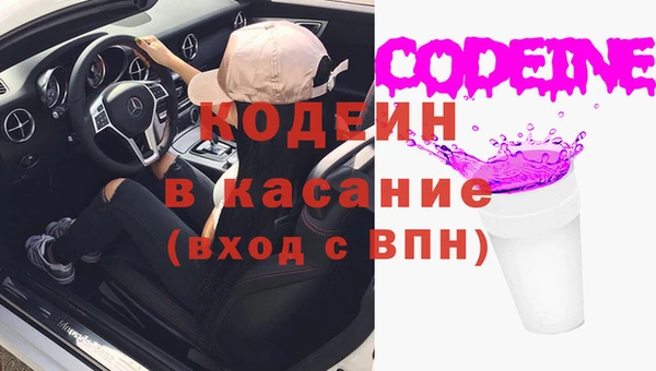прущие грибы Зерноград