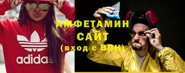 дмт Инсар