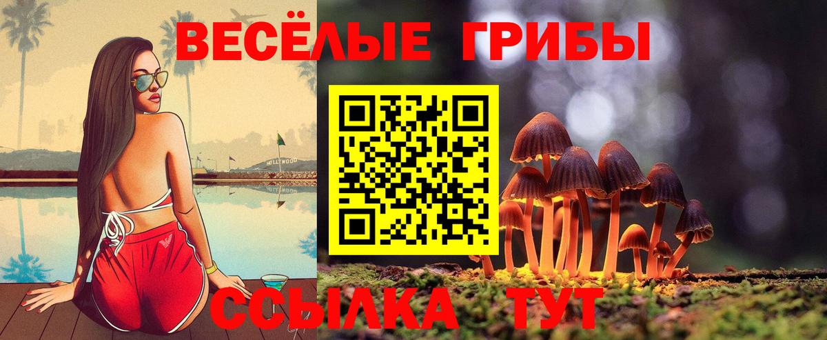 Псилоцибиновые грибы мухоморы  Вход с VPN  Тихвин 